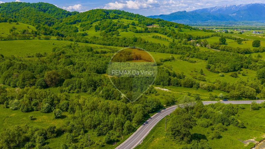 Teren 1ha Valea Glăjeriei - Rasnov | Comision 0% - 5