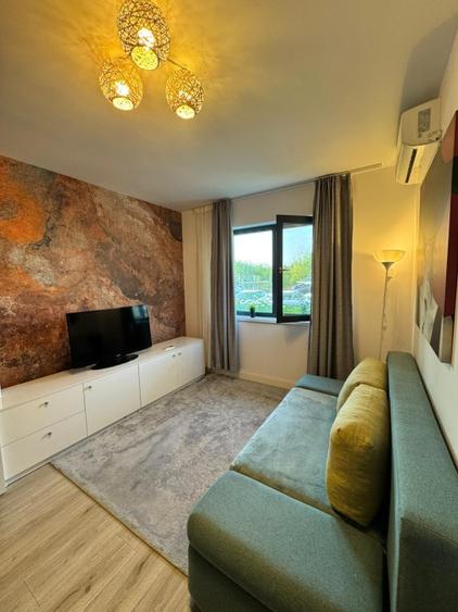 Proprietar Studio lux Aviatiei Aurel Vlaicu Onix Promenada Pipera Herastrau