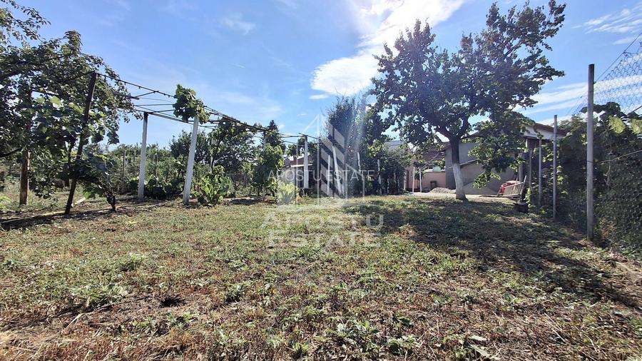Casa 4 camere,Teren 360 mp Micalaca Garaj, Gradin - 17