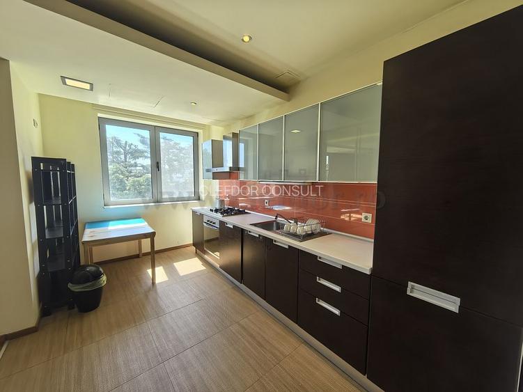 Apartament cu acces la piscina- Zona Iancu Nicolae - 11