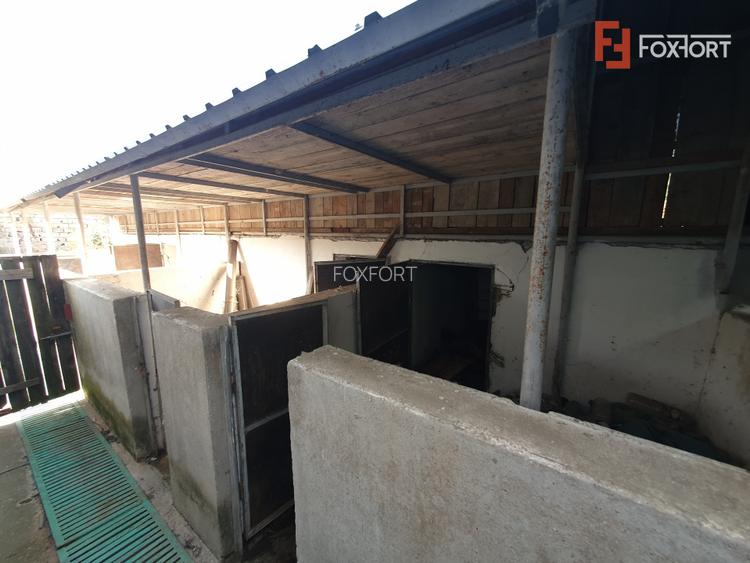 Casa individuala cu 3 camere, 130 mp utili, teren 1238 mp, in Livezile Timis - 25