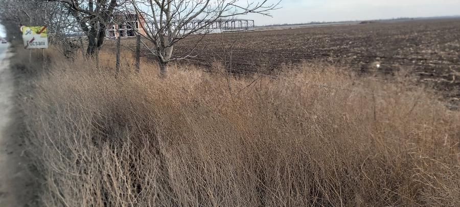 Terenuri intravilane de vanzare Focsani ,4,5 Ha Focsani