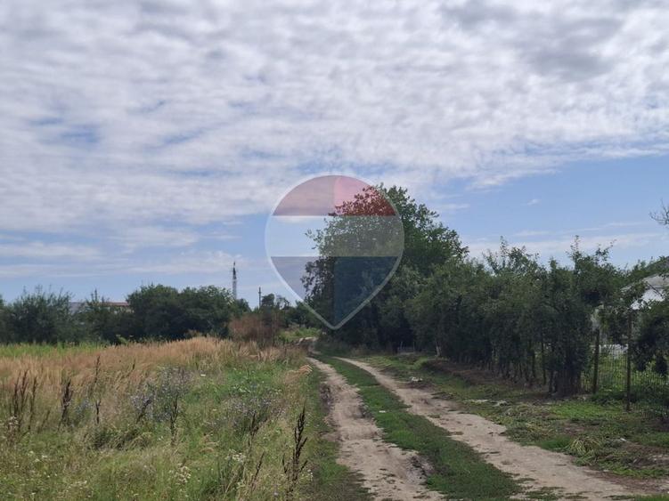 Vanzare teren extravilan 28800 mp, sat Posta, jud Giurgiu