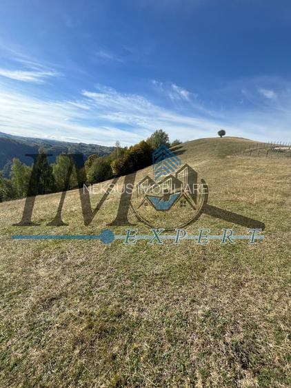 Teren extravilan la munte zona Loman! - 4