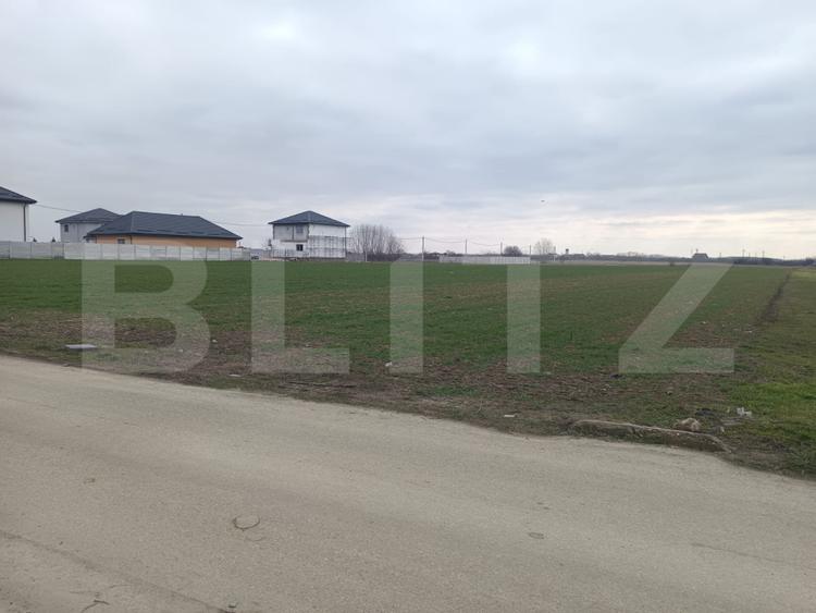 Teren 7.200 mp cu toate utilitățile la front asfaltat, Măn. Jitianu, Braniște