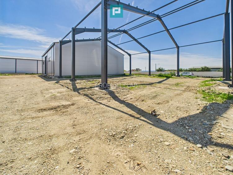 Hală industrială în zona Giarmata – Timiș - 6