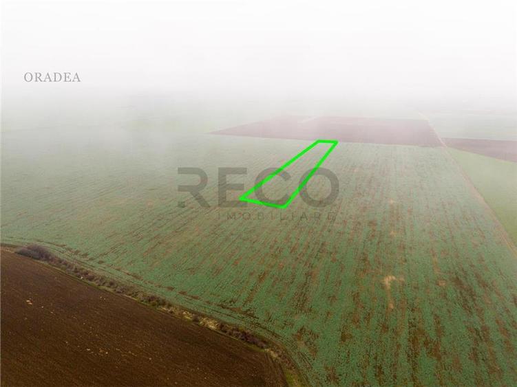 RECO Teren extravilan 5800 mp Livada de Bihor