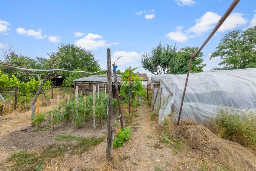Casă de vânzare în zona Gai cu teren de 1.480 mp - 17