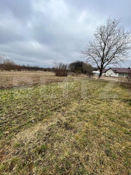 Teren intravilan 5775 mp- Galanesti