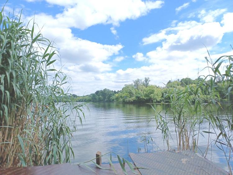 Exclusivitate Teren in Snagov, sat Silistea Snagovului -1.000 mp