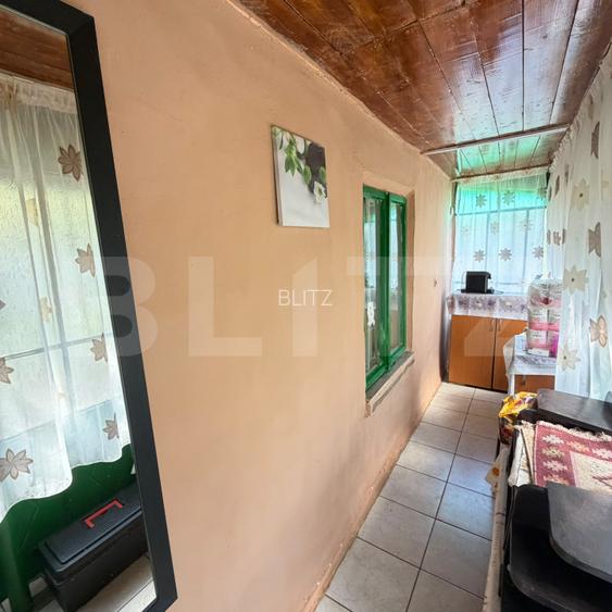 Casa 70 mp, 1700 mp teren, sat Tarnava - 18