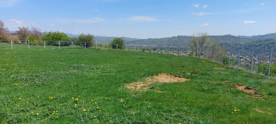 Teren Campina platoul Muscel