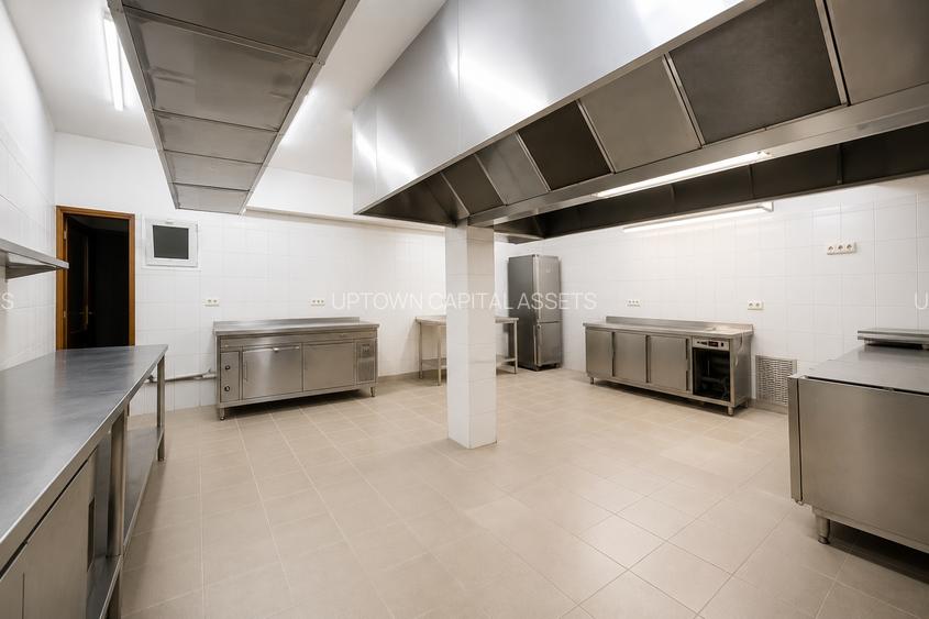 Vilă deosebită Pta Victoriei - HoReCa-Gradinita-Medical-Avocatura - 9