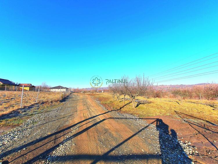 Descoperă Terenul Ideal: 390mp în Daia, Sibiu