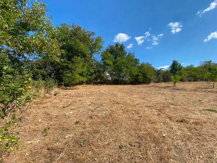 Vând teren intravilan zona meliferă ,comuna Parincea Jud Bacau