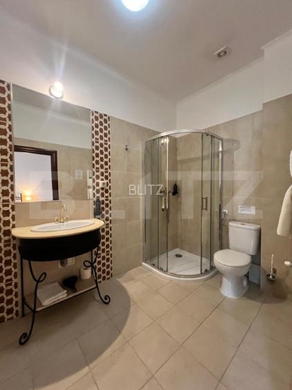 Proprietate Premium ideală pentru investiție – 450 mp utili! - 8