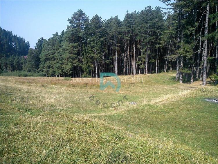 Teren Poiana Angelescu, Sacele, Brasov - 5