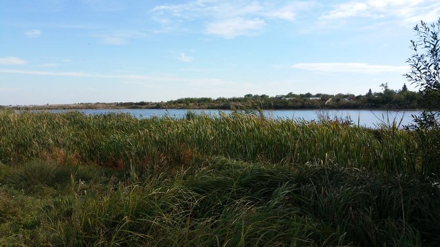 Proprietate frumoasa si rara cu deschidere la lac!La 30 km de Bucuresti