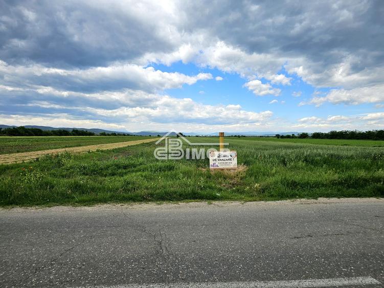 Teren extravilan agricol 2.500 m² | 21 ml deschidere | Filipeștii de T
