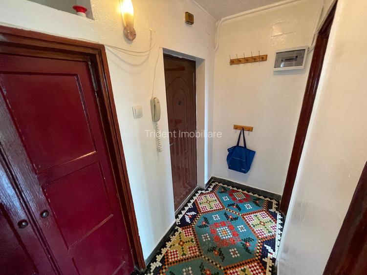 3 camere / Domenii / Bd. Ion Mihalache - 13