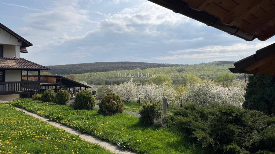 Vând proprietate, zonă rezidențială Tocile - 14