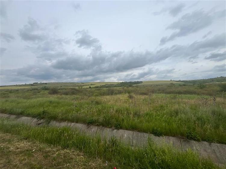 Lugoj, Teren 16.800 Mp., Cu deschidere  de 80 Ml., La Centura Ocolitoare