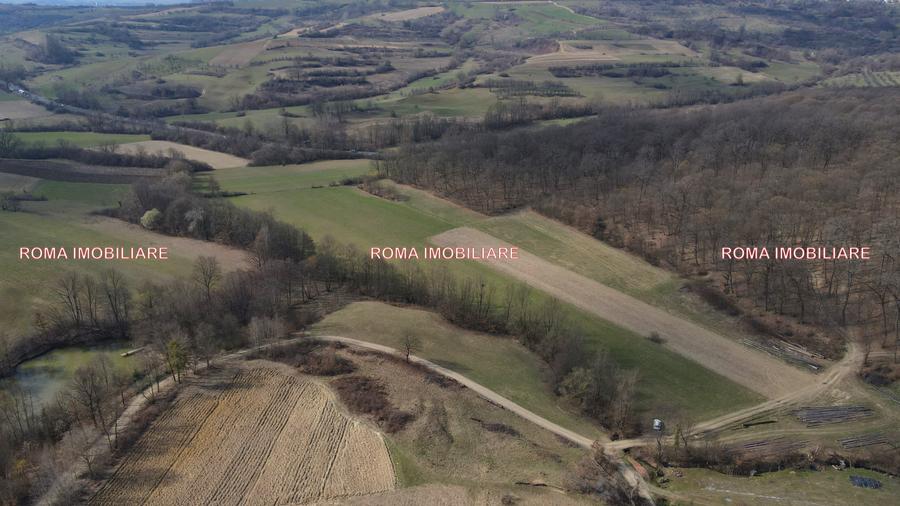 Teren superb de vânzare în Dumbrăvița – 3.750 mp