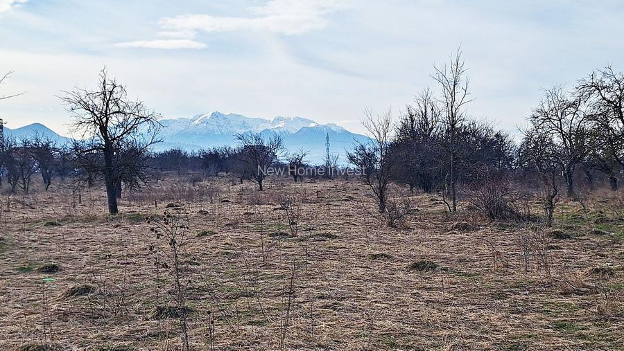 Teren intravilan pentru Investitie!!!,933mp in Ghimbav, 50 euro/mp neg - 3