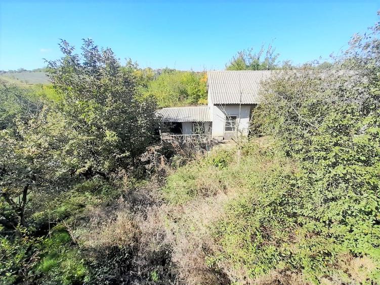 Vanzare vila P+1, Loc. Sinesti, teren: 4.065 mp, langa lac, comision 0% - 9