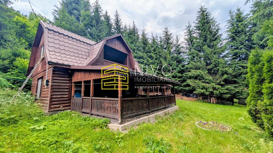 Cabană – Mureș – Sălard – Zona Pensiunea Denisa - 3