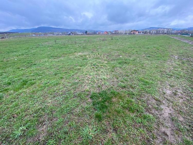 Teren Intravilan 550 mp-ideal casa-Zona Zavoaie