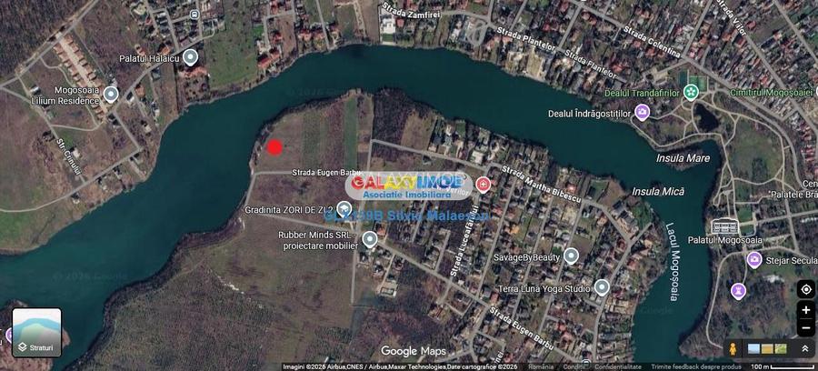 Mogosoaia 1.325 Mp LAC - IDEAL INVESTITIE - 4