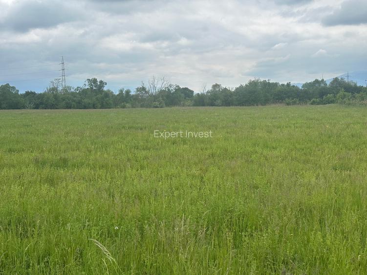 Vand teren extravilan 8.600 mp in Selimbar / jud. Sibiu - 4