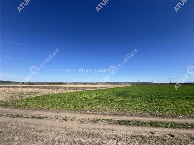 Teren intravilan de 16130 mp situat in Sibiu zona Calea Surii Mici - 2