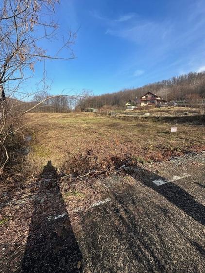 TAUTII MAGHERAUS strada 74 teren intravilan de aprox 36ari !