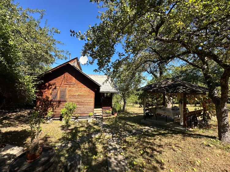 Casa de vacanta situata pe Calea Dumbravii