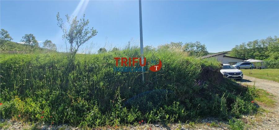 Teren de vanzare zona Teleac