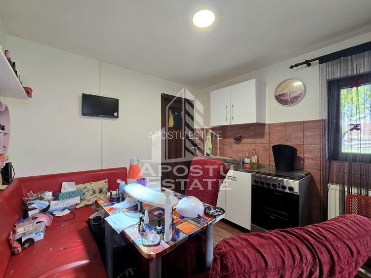 Casa individuala de vanzare, teren de 900 mp, Bogdanestilor, Timisoara - 21