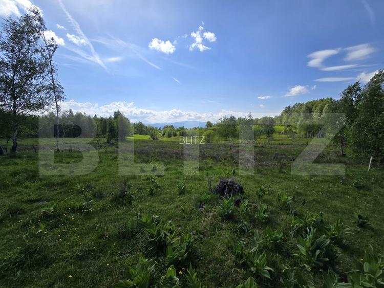 Teren extravilan 13103 mp in Dealu Mare! Oportunitate investitie! - 2