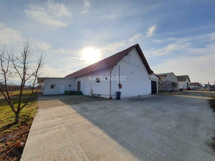 Hală de închiriat 600 mp | Teren 2.000 mp | Acces TIR | Pianu de Jos - 2