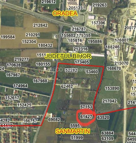 RECO  Teren in  Sanmartin  1780mp - 3