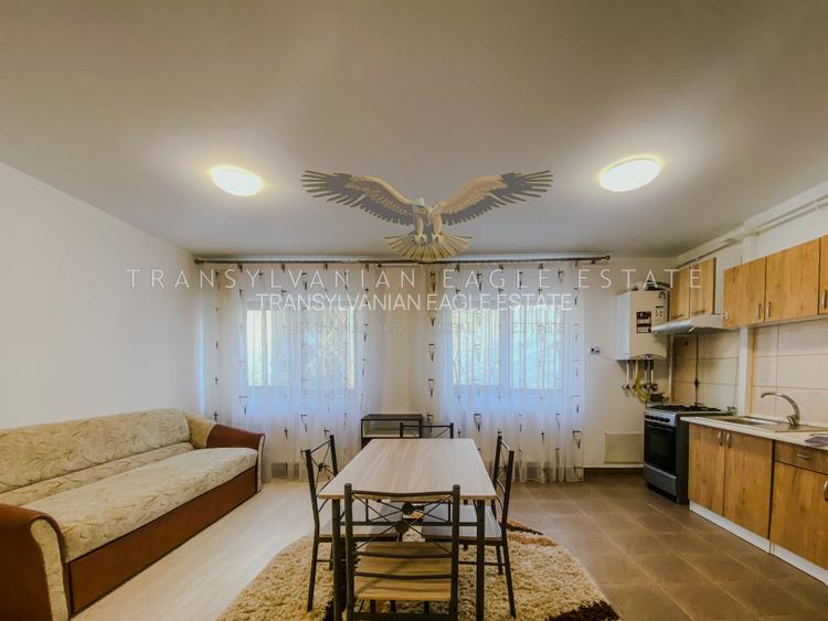 Residence privat. Apartament cu 2 camere, Zona Campului/Manastur - 7