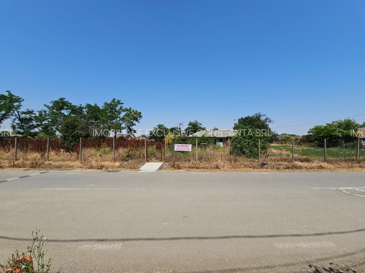 Teren 5.465 mp intravilan și front stradal – Topraisar, Constanța Comision Zero - 7