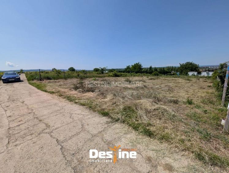 Bârnova - Teren Intravilan 974 Mp, utilitati, drum betonat - 5