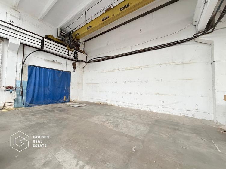 Hala industriala cu pod rulant, Sanicolau Mic, suprafata 1.187 mp