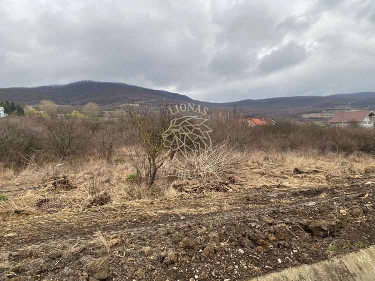Teren 12,719 mp cu deschidere la DN17-ideal hala/parcare-Crainimat