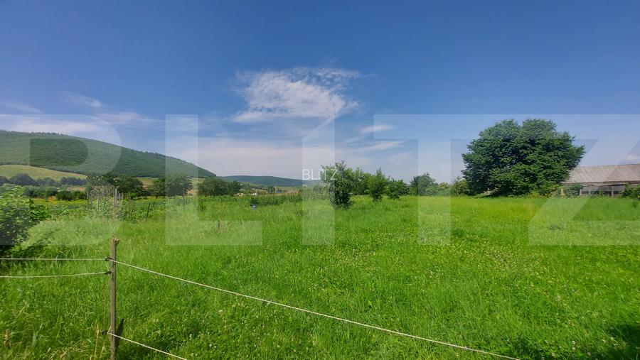 Casa + teren intravil, 3.6 ha I Zagon I Potential turistic si investitional - 10
