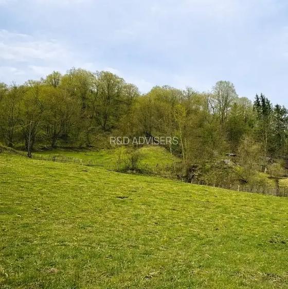 TEREN DE VANZARE  1.688 MP| SULTANU | VISINESTI | DEALURILE SULTANULUI - 2