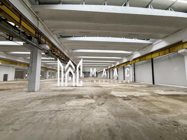Hala producție I 6857 mp I Acces TIR I Pod Rulant I Mârșa