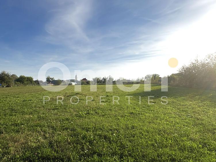 Teren de vânzare | 28 ari | 1.390 de euro/ar | Culcea, comuna Săcălășeni.